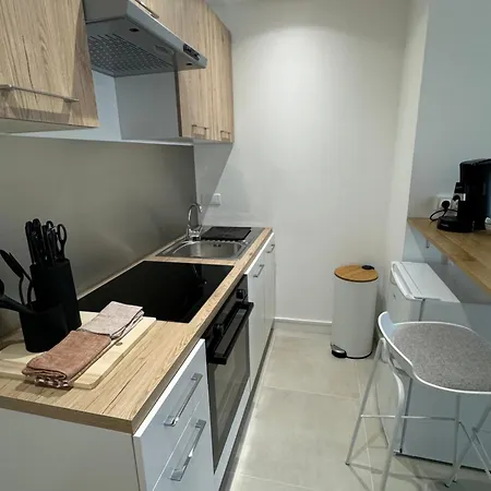 Apartment Grand Studio-annecy